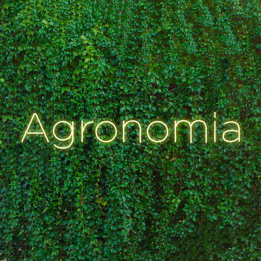 Letreiro Led Neon Agronomia 109x22cm