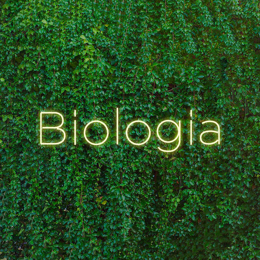 Letreiro Led Neon Biologia 79X23cm