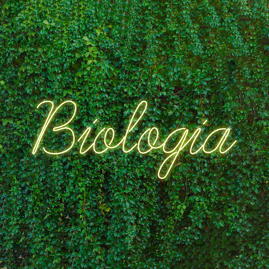 Letreiro Led Neon Biologia 103x42cm