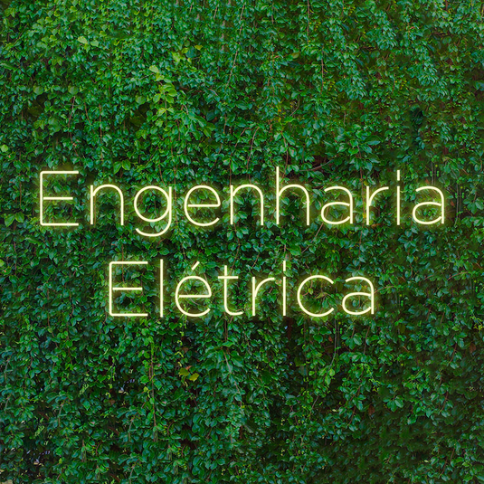 Letreiro Led Neon Engenharia Elétrica 120x45cm