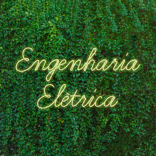 Letreiro Led Neon Engenharia Elétrica 113x58cm