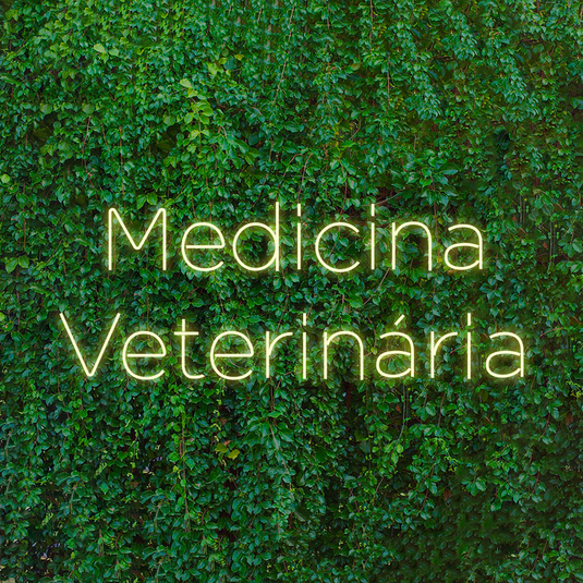 Letreiro Led Neon Medicina Veterinária 106x44cm