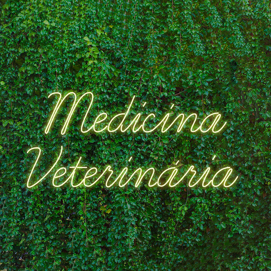 Letreiro Led Neon Medicina Veterinária 113x59cm