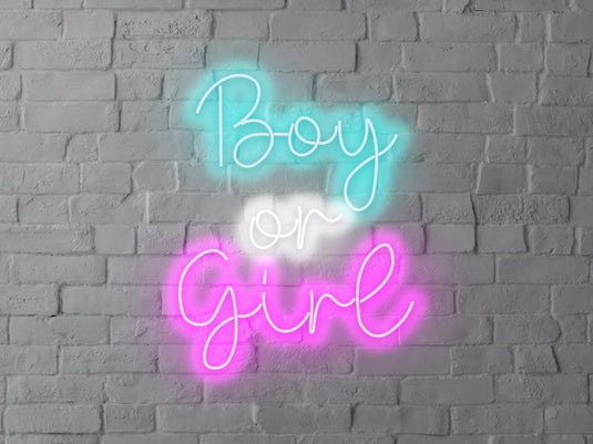 Letreiro Neon Boy or Girl 50x60cm - Hause Neon